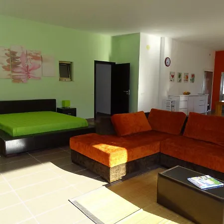 Open Space House 펜션 나자레